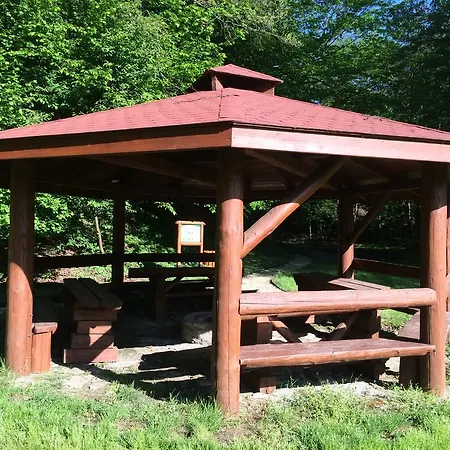 Dwor Kociolek