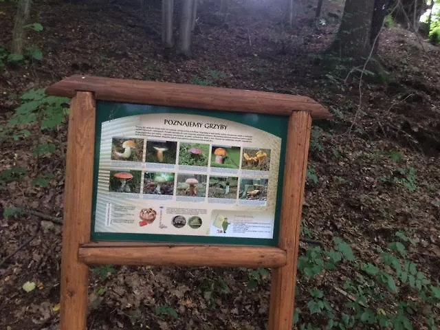 Bed and breakfast Dwor Kociolek Dobczyce